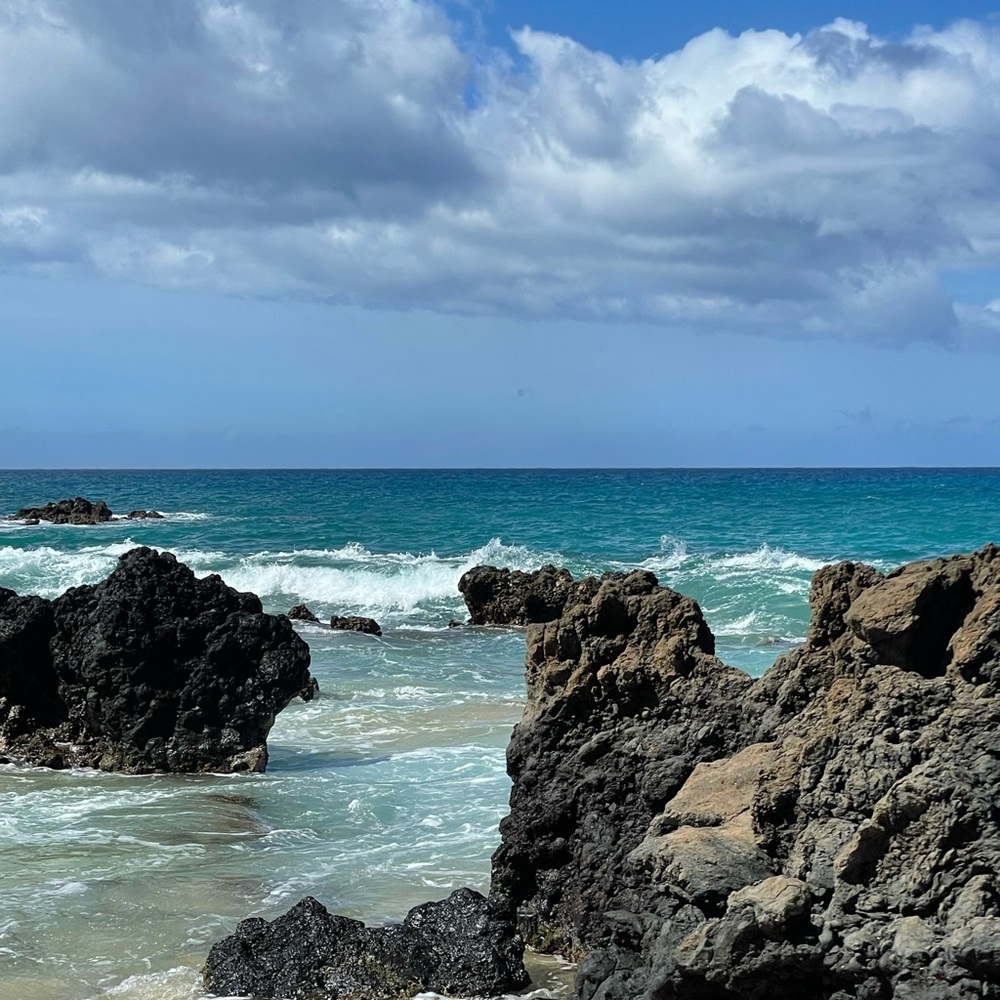 Meet your Posher, Morgan